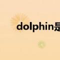 dolphin是什么意思（do是什么意思）