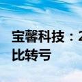宝馨科技：2024年上半年净亏损1.06亿元 同比转亏