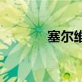塞尔维亚与法国签署多项协议