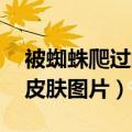 被蜘蛛爬过的皮肤图片 水泡（被蜘蛛爬过的皮肤图片）