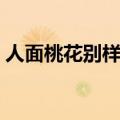人面桃花别样红什么意思（人面桃花别样红）
