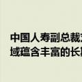 中国人寿副总裁刘晖：科技创新、先进制造、绿色发展等领域蕴含丰富的长期投资机会