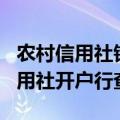 农村信用社银行app下载安装（河南省农村信用社开户行查询）