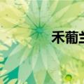 禾葡兰怎么样（禾葡兰骗人）