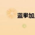 蓝拳加点95（蓝拳85刷图加点）