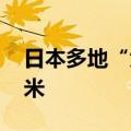 日本多地“大米荒”持续 政府拒绝投放储备米