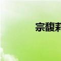 宗馥莉接任娃哈哈集团董事长