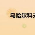 乌哈尔科夫市遭炸弹袭击至少6人死亡