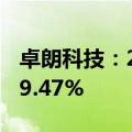 卓朗科技：2024上半年营业收入同比增长219.47%