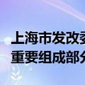 上海市发改委副主任：外资是上海经济发展的重要组成部分