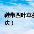 鞋带四叶草系法图解视频教程（鞋带四叶草系法）