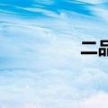 二品大臣有哪些（epdc）