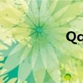 Qq估价软件（qq估价）