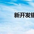 新开发银行将扩大成员国本币融资