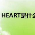 HEART是什么意思英语（heart是什么意思）