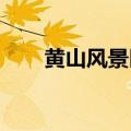 黄山风景区游客数量创三个历史新高
