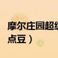 摩尔庄园超级点点豆豆是干嘛的（摩尔庄园点点豆）