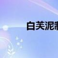 白芙泥制作流程是什么（白芙泥）