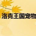 洛克王国宠物装备图鉴（洛克王国宠物装备）