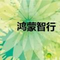 鸿蒙智行：8月全系交付新车33699辆