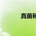 真菌和计算机组合机器人问世
