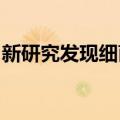 新研究发现细菌细胞会将“记忆”传递给后代