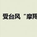 受台风“摩羯”影响 海口三港发布停运预警