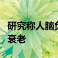 研究称人脑负责高级思维的前额叶皮层区最易衰老