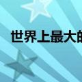 世界上最大的车排行榜（世界上最大的车）