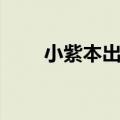 小紫本出权杖主播得多少（小紫本）