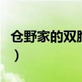 仓野家的双胞胎故事安卓（仓野家的双子情事）