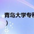 青岛大学专科专业有哪些（青岛大学专科专业）