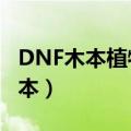 DNF木本植物的样本在哪（dnf木本植物的样本）
