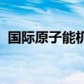 国际原子能机构总干事前往扎波罗热核电站