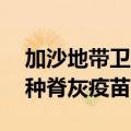 加沙地带卫生部门：两天内近16万名儿童接种脊灰疫苗