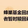 蜂巢基金回应权益新品遭大额赎回：部分投资者暂时赎回避险