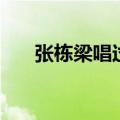 张栋梁唱过什么歌（张栋梁好听的歌）