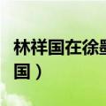 林祥国在徐墨然艺术馆开馆仪式上讲话（林祥国）
