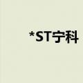 *ST宁科：整体债务规模达22.1亿元