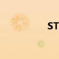 ST鼎龙：股票明日摘牌