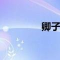 卿子冠军宋义（卿子冠军）
