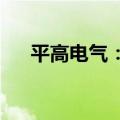 平高电气：中标8.34亿元国家电网项目