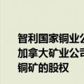 智利国家铜业公司（Codelco）提议，出资5亿美元持股由加拿大矿业公司Teck Resources经营的Quebrada Blanca铜矿的股权