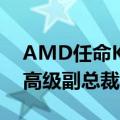 AMD任命Keith Strier为全球人工智能市场高级副总裁