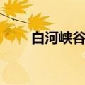 白河峡谷漂流门票（白河峡谷漂流）