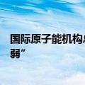 国际原子能机构总干事：扎波罗热核电站当前情况“非常脆弱”