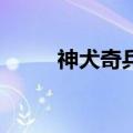 神犬奇兵2部开拍了（神犬奇兵2）