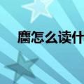 麕怎么读什么意思是什么字（麕怎么读）