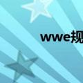 wwe规则详细（wwe比赛规则）