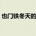 也门铁冬天的养殖方法和注意事项（也门铁）